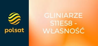 Gliniarze S11E58 - Własność