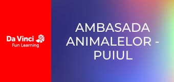 Ambasada animalelor - Puiul de orca