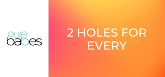 2 Holes For Every Pole E241
