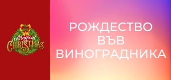 Рождество във виноградника