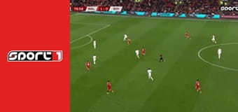 Box - Tony Pep - Floyd Mayweather