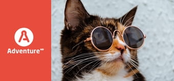 Zakręcone stworzonka z Internetu E1