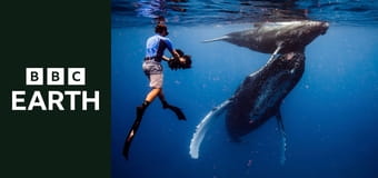 Miłosne rozgrywki zwierząt S1E5 - Wbrew wszelkim przeciwnościom