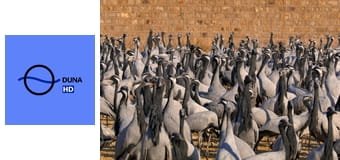 Ázsia E7 - Ázsia megmentői