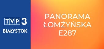 Panorama łomżyńska E287