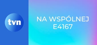 Na Wspólnej E4167