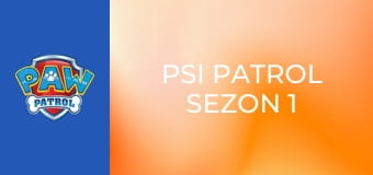 Psi Patrol Sezon 1 Odcinek 3