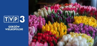 Kwiaty na warsztat S3E6 - Hydroponika, prosta metoda na zawsze podlane rośliny dla zapominalskich