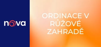 Ordinace v růžové zahradě 2 S2E599 - Nemusíš se bát