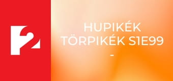 Hupikék törpikék S1E99 - Ügyifogyi, a vezető / Denisa pizsama partija