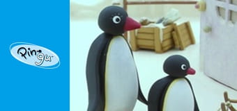 Pingu Sezon 3 Odcinek 15 Pingu Sezon 3 Odcinek 15