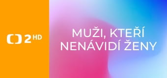 Muži, kteří nenávidí ženy