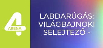 Labdarúgás: Világbajnoki selejtező - Ukrajna – Svédország