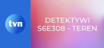 Detektywi S6E308 - Teren prywatny