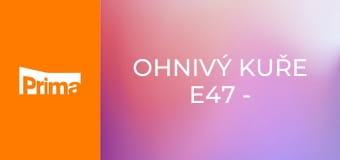 Ohnivý kuře E47 - Unavené štěstí