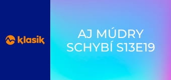 Aj múdry schybí S13E19
