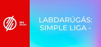 Labdarúgás: Simple Liga - FTC-Telekom – Puskás Akadémia FC mérkőzés