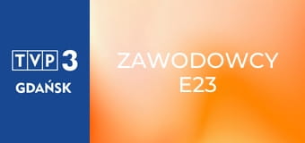 Zawodowcy E23