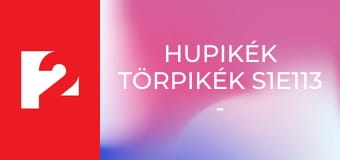 Hupikék törpikék S1E113 - Ügyifogyi dzsin