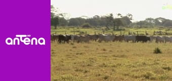 Wojciech Cejrowski - boso przez świat S1E68 - Wenezuela – boso, ale w ostrogach