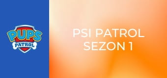 Psi Patrol Sezon 1 Odcinek 17