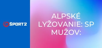 Alpské lyžovanie: SP mužov: Levi