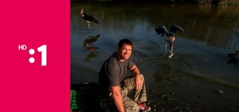 60 zabijakov divočiny E6