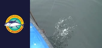 New Huck Finn, part 1