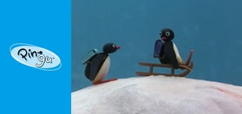 Pingu Sezon 3 Odcinek 13 Pingu Sezon 3 Odcinek 13