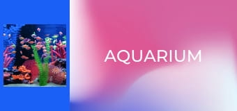 Aquarium