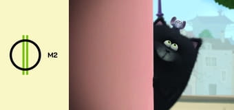 Splat és Harry - Harry évfordulója