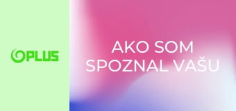 Ako som spoznal vašu mamu