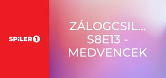 Zálogcsillagok S8E13 - Medvencek