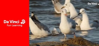 Siyaya: najdzikszy przylądek - Kogelberg - od źródła do ujścia