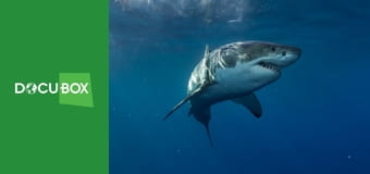 Podwodny świat S6E4