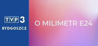 O milimetr E24