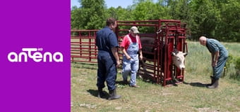 Niezwykły dr Pol S2E8 - Galopujący Pol