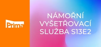 Námořní vyšetřovací služba S13E2 - Den volna