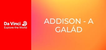 Addison - A galád szúnyogok rejtélye Addison - A galád szúnyogok rejtélye