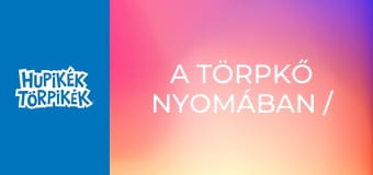 A törpkő nyomában / Törpföldön A törpkő nyomában / Törpföldön