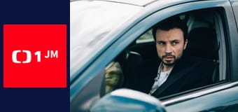 Slečna Holmesová - Mínus 20 stupňů