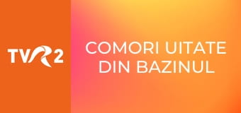 Comori uitate din bazinul Mediteranei - Palatul baronului d'Erlanger din Tunisia