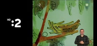 Slimák Maťo a škriatok Klinček E8 - Ako Maťo s Klinčekom zasadili šušku