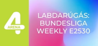 Labdarúgás: Bundesliga Weekly E2530