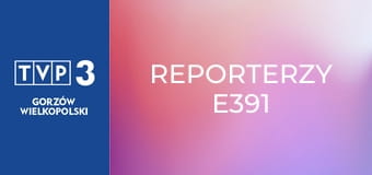 Reporterzy E391