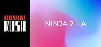 Ninja 2 – A harcos bosszúja
