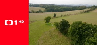 Čo naše staré mamy vedeli a na čo my sme zabudli