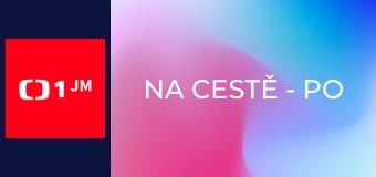 Na cestě - po Aucklandu