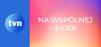 Na Wspólnej E4168