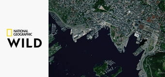 Europa z powietrza S4E2 - Dania